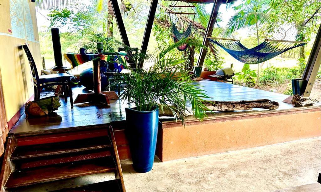 Luminosa Uvita Hostel Eksteriør billede