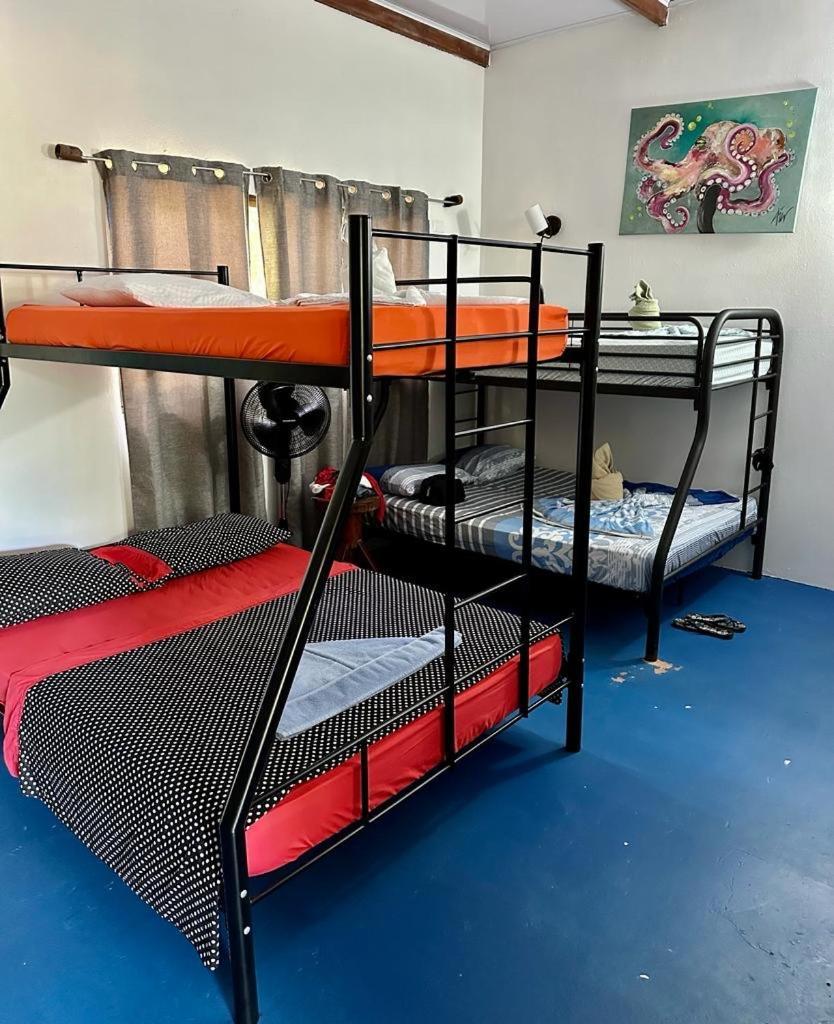Luminosa Uvita Hostel Eksteriør billede
